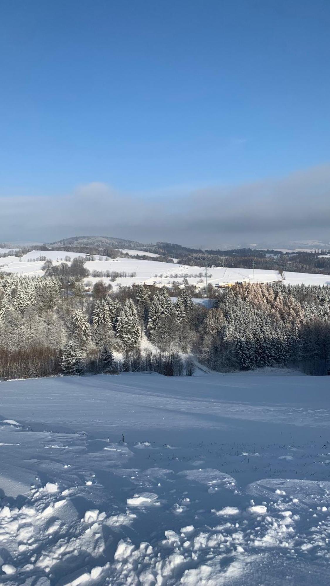 Restaurace A Penzion Gansberg Cotkytle Kültér fotó
